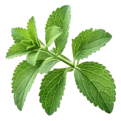 Imagen PNG para descargar